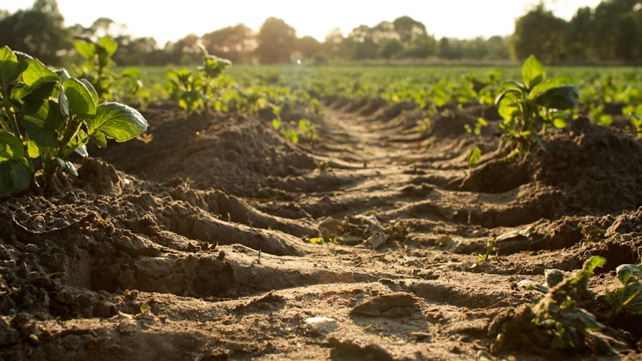 Agricultural Tire Innovation Reaches Canadian Farmers: What Buyers Should Know 1 agricultural equipment tire soil