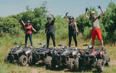 CFMoto ATV Partnership With Minnesota Vikings: What Buyers Should Know