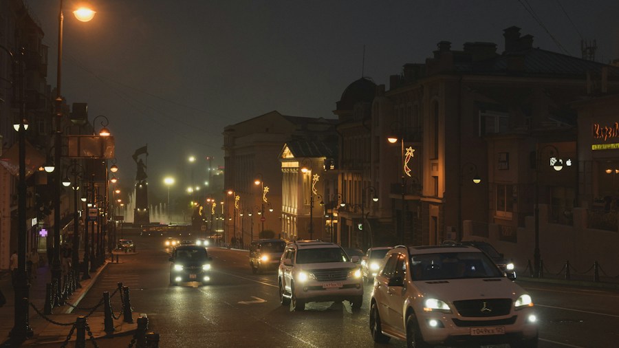 Tesla Robotaxi Struggles to See Pets at Night What Buyers Should Know 2 car detection systems low light conditions