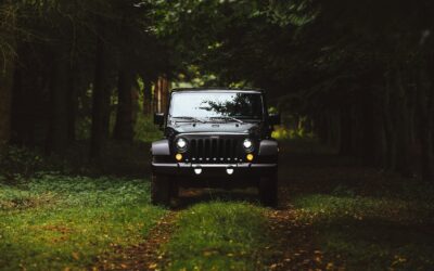 Wrangler JL-2A Retro Model: What You Need to Know