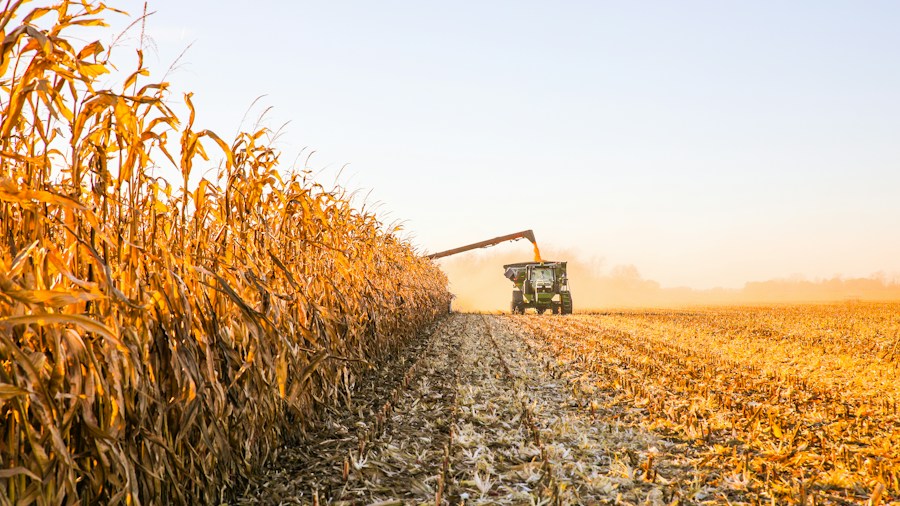 CEAT Specialty Extends Agricultural Tire Warranty to 10 Years: What Farmers and Shoppers Need to Know 1 combine harvester corn stubble