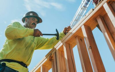 Makita Cordless Tools Market Share Decline What Shoppers Should Know