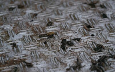 Machine Washing Floor Mats: Safety Risks You Should Know