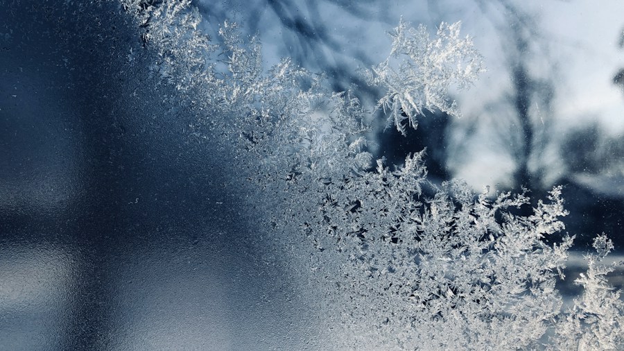 DIY winterization antifreeze supplies