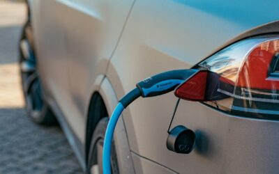 Tesla Model Y Premium Power Export: What Buyers Should Know