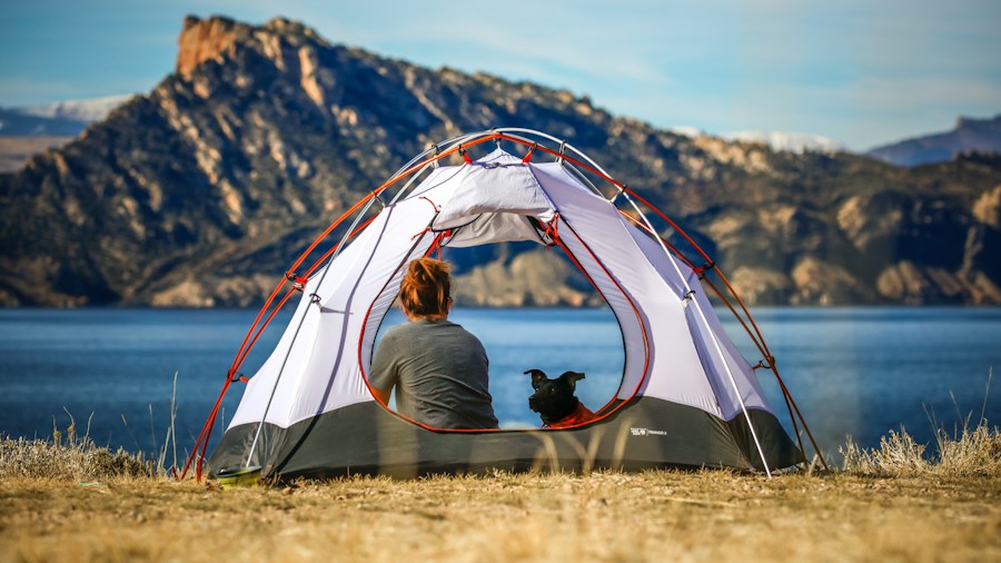 family dog campground adventure