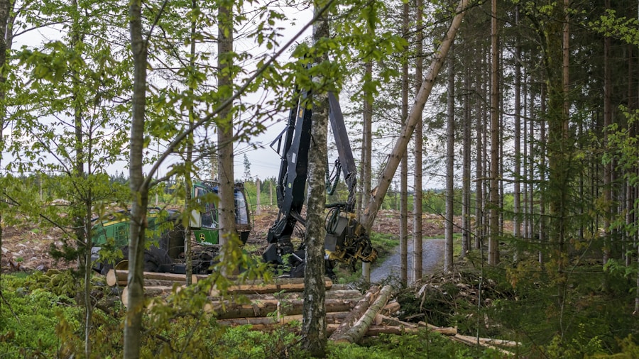 Nokian Forest King TRS 3 Tire Launch What Shoppers Need to Know 2 forestry machinery in logging operation