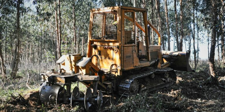 heavy forestry equipment working forest