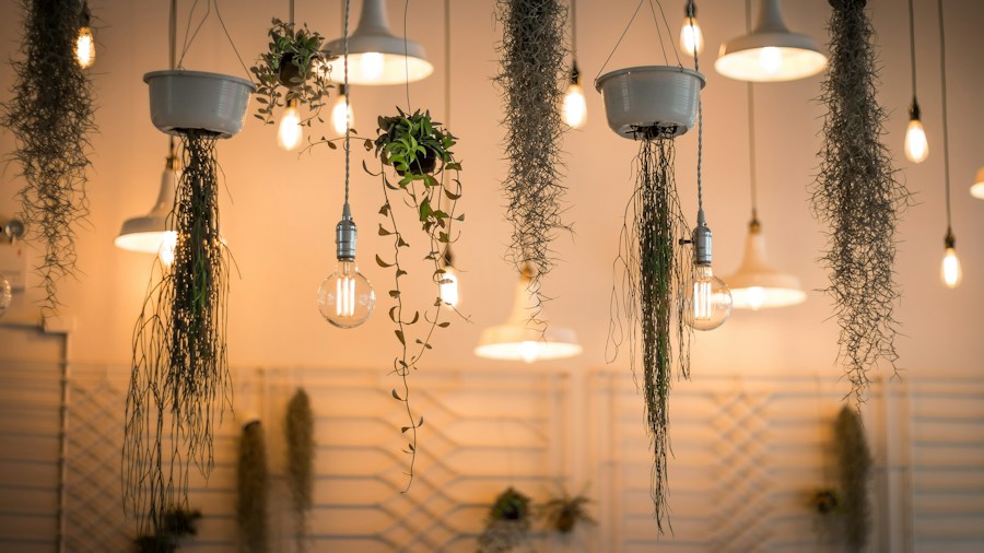 LED and incandescent light fixtures