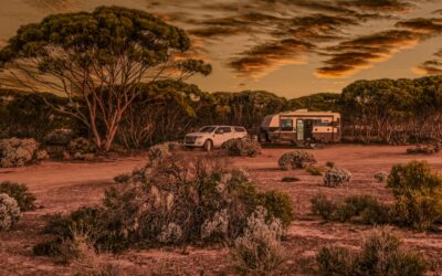 Factory Bull Bars Return to Modern SUVs in Australia