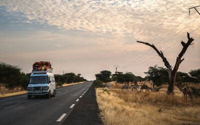 What Africa's Toughest Truck Challenge Teaches Buyers