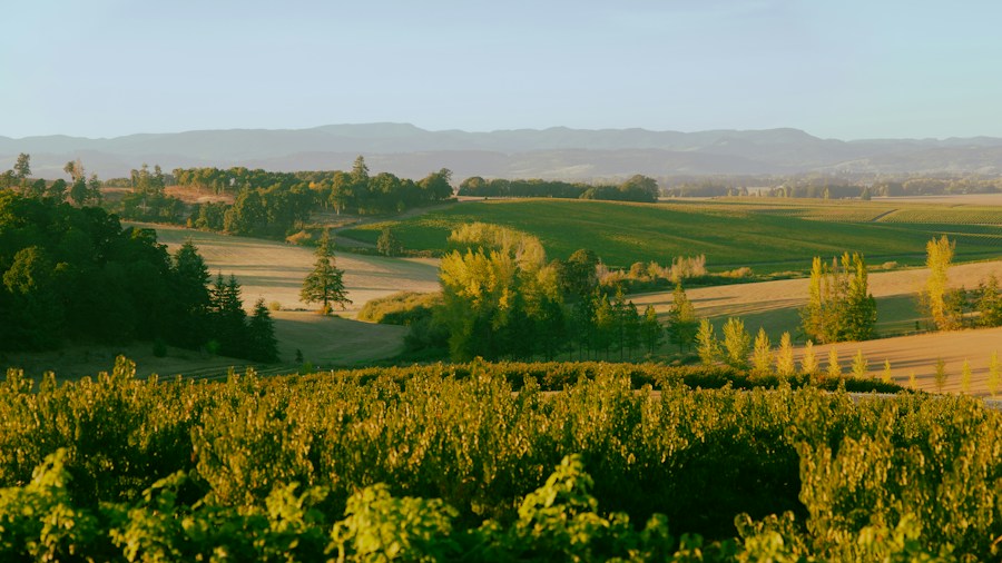 RV Overnights Launches Loyalty Rewards Program and StayScout Feature: What Buyers Should Know 2 rural farm winery overnight stay