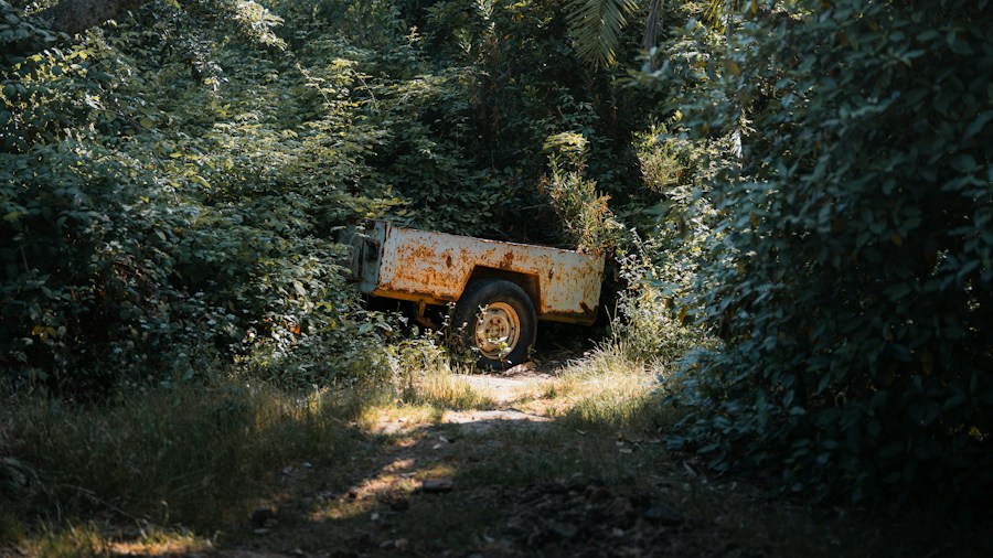 Honda Acty Arrives in the US Market: What Shoppers Need to Know 1 small truck rural dirt road narrow pathways