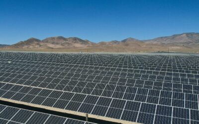 Tesla Powers Arizona Solar Farm What Buyers Should Know