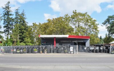 Veteran Executive Joins AMP Tires Leadership