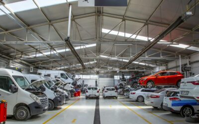 Gasoline Vehicles Account for Most Park Outside Recalls What Shoppers Should Know