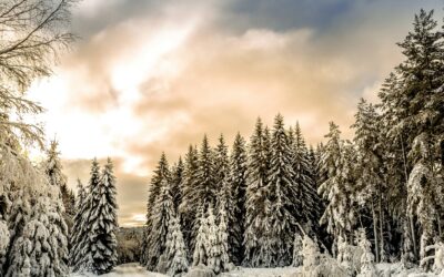 General Tire Adds Arctic X Winter Tire Options