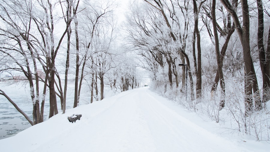 Nokian Tyres Launches Own Every Condition Campaign: What Buyers Should Know 2 winter weather snow ice road