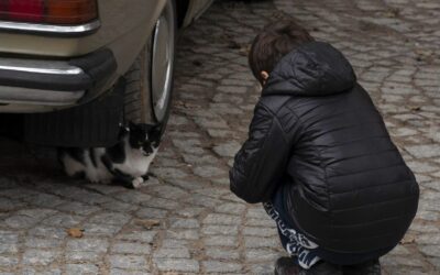 Tire Maintenance Delays Cost Drivers Money: What Shoppers Should Know