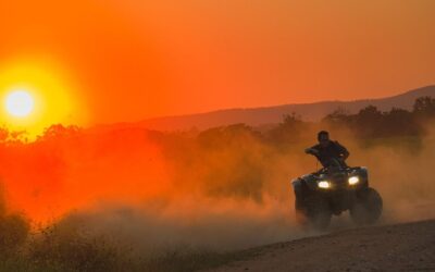 Honda Revives TRX250X and TRX90X for 2027
